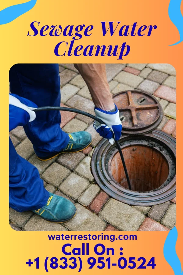 Sewage Water Cleanup in Mentone, AL